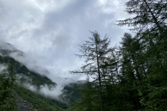 C29F0303-BB91-4CA8-B151-55F299667A3A