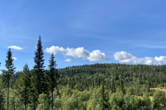 DAA7F643-1A3D-46E3-8230-2B08E41982C2