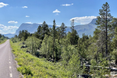 3B2AC31E-2E92-4E4C-BE1E-FD82DA890759