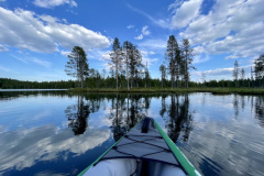 AD28629C-E9FD-458F-9A77-EB21E623E6A3