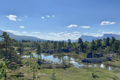 C5D5B1A9-8537-46E6-B199-552E56BD38A9