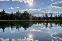 D4F2D54D-211A-4F88-93DA-643FB7D8F176