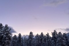 2F44519F-D737-4D6B-8DF8-EE5625FE8258